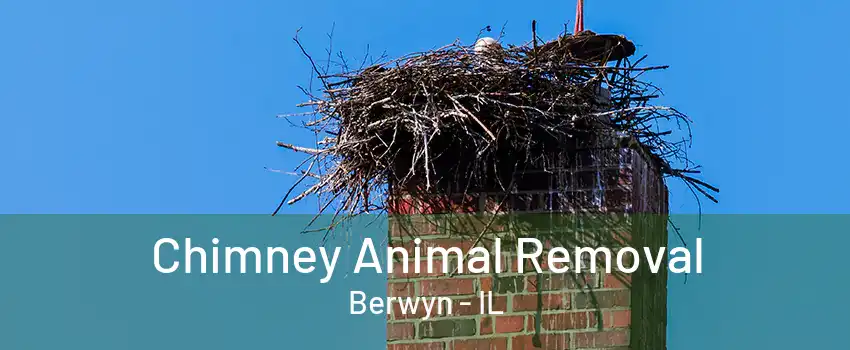 Chimney Animal Removal Berwyn - IL