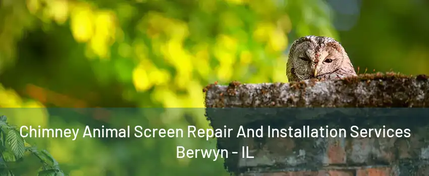 Chimney Animal Screen Repair And Installation Services Berwyn - IL