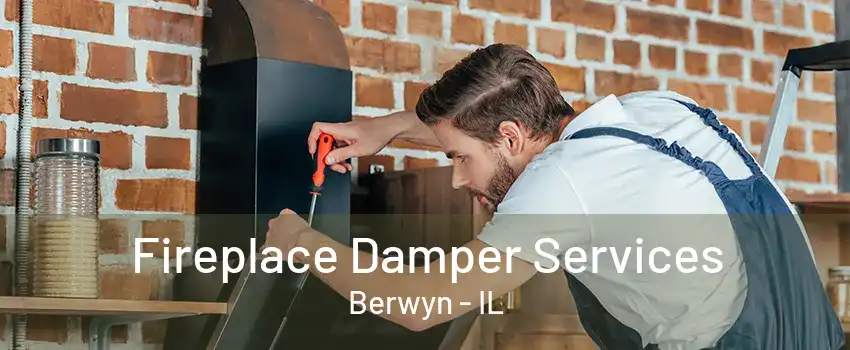 Fireplace Damper Services Berwyn - IL