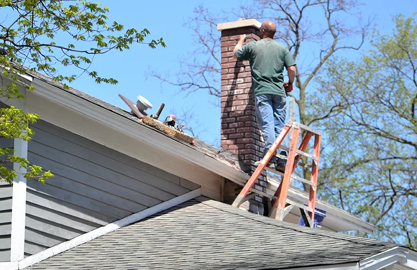 Chimney & Fireplace Inspections Services in Berwyn