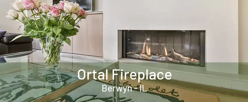 Ortal Fireplace Berwyn - IL